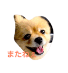 のんたんだよ！（個別スタンプ：8）