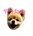 のんたんだよ！（個別スタンプ：9）