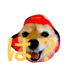 のんたんだよ！（個別スタンプ：10）