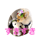 のんたんだよ！（個別スタンプ：12）