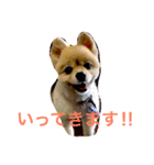のんたんだよ！（個別スタンプ：15）