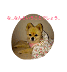 のんたんだよ！（個別スタンプ：16）