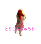 のんたんだよ！（個別スタンプ：18）