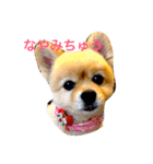 のんたんだよ！（個別スタンプ：21）