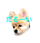 のんたんだよ！（個別スタンプ：22）