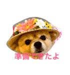 のんたんだよ！（個別スタンプ：23）