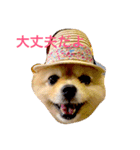 のんたんだよ！（個別スタンプ：25）