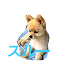 のんたんだよ！（個別スタンプ：27）