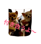 のんたんだよ！（個別スタンプ：28）
