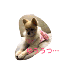 のんたんだよ！（個別スタンプ：30）