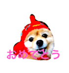 のんたんだよ！（個別スタンプ：32）