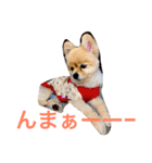 のんたんだよ！（個別スタンプ：35）