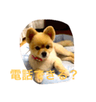 のんたんだよ！（個別スタンプ：36）