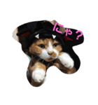 juni＆runa（個別スタンプ：1）