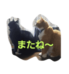juni＆runa（個別スタンプ：4）