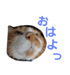 juni＆runa（個別スタンプ：6）