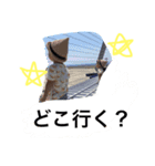 デブリンズ2。（個別スタンプ：5）