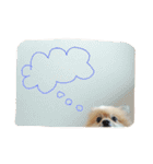 表情豊かなポメちゃんスタンプ（個別スタンプ：25）
