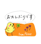 【Akane】四つ葉のクローバー＆ピヨ（個別スタンプ：5）