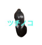 我が家のモッチー（個別スタンプ：4）