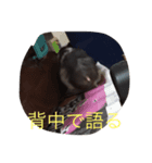 我が家のモッチー（個別スタンプ：7）