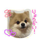 けびげんスタンプ！（個別スタンプ：2）
