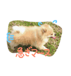 けびげんスタンプ！（個別スタンプ：3）