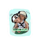 Children 1（個別スタンプ：11）