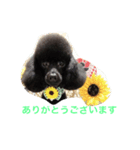 kuropu（個別スタンプ：5）