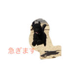 kuropu（個別スタンプ：7）