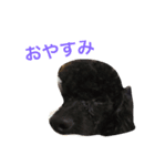 kuropu（個別スタンプ：8）