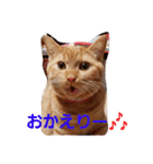 mikan  life  4（個別スタンプ：1）