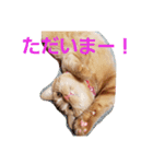 mikan  life  4（個別スタンプ：2）