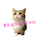 myunori（個別スタンプ：5）