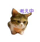 myunori（個別スタンプ：8）