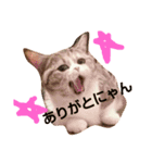 myunori（個別スタンプ：9）