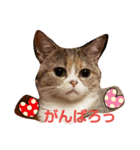 myunori（個別スタンプ：11）