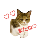 myunori（個別スタンプ：13）
