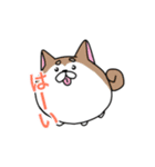 まんまるわんこ 日常使いスタンプ（個別スタンプ：1）