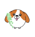 まんまるわんこ 日常使いスタンプ（個別スタンプ：2）
