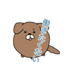 まんまるわんこ 日常使いスタンプ（個別スタンプ：5）