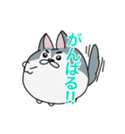 まんまるわんこ 日常使いスタンプ（個別スタンプ：7）