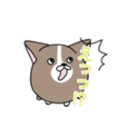 まんまるわんこ 日常使いスタンプ（個別スタンプ：10）