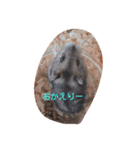 hamu2（個別スタンプ：5）