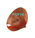 hamu2（個別スタンプ：10）