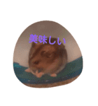 hamu2（個別スタンプ：14）