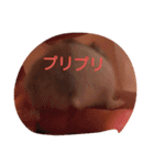 hamu2（個別スタンプ：15）
