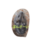 hamu2（個別スタンプ：18）