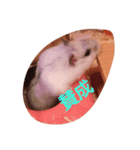 hamu2（個別スタンプ：19）