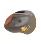 hamu2（個別スタンプ：22）